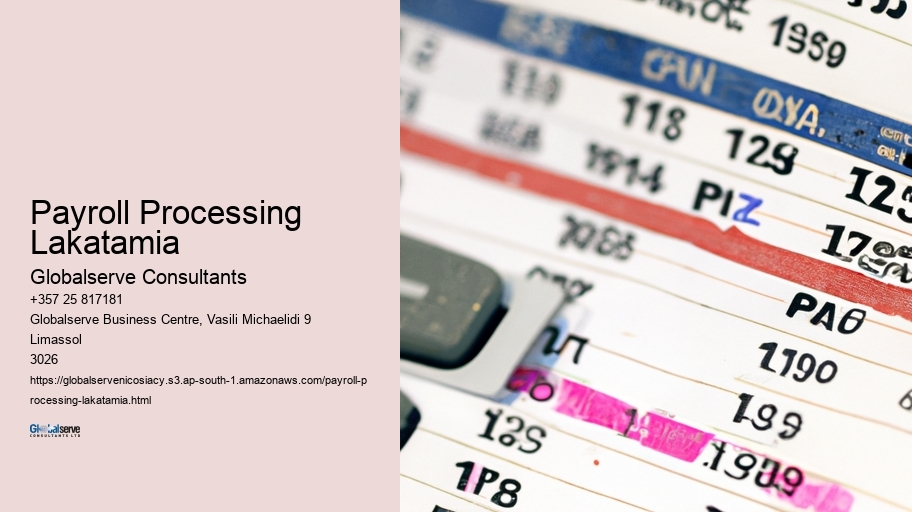Payroll Processing Lakatamia